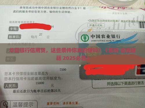 华夏银行信用贷款条件