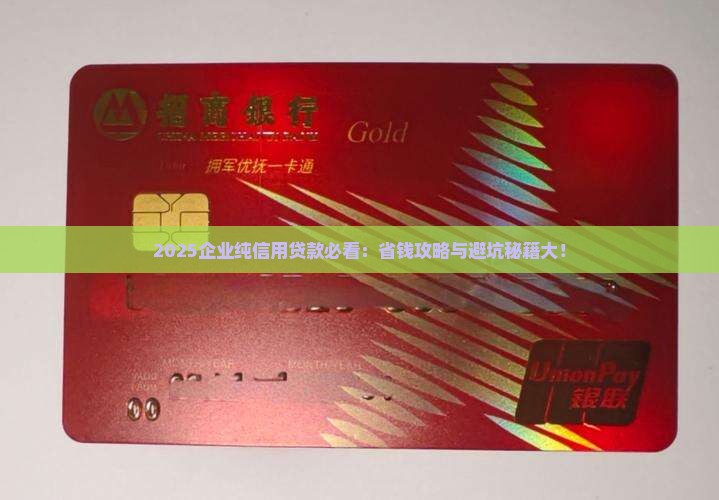 2020企业纯信用贷款