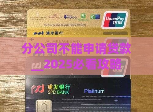 分公司不能申请贷款