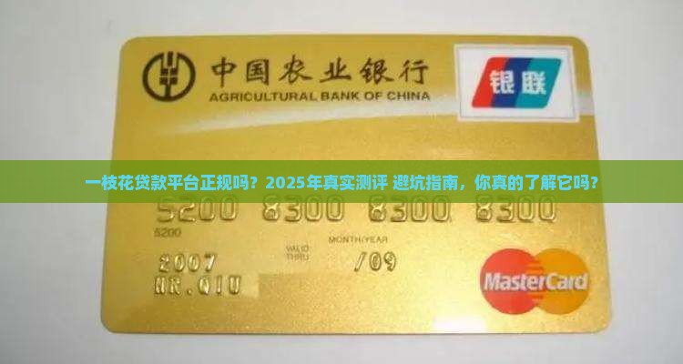 一枝花贷款平台正规吗