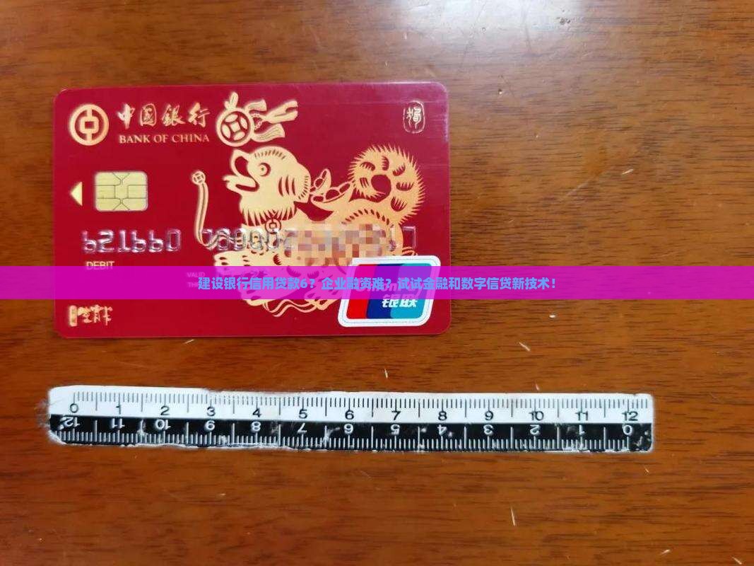 建设银行信用贷款6？企业融资难？试试金融和数字信贷新技术！