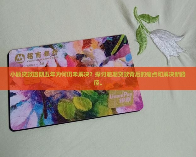 小额贷款逾期五年为何仍未解决？探讨逾期贷款背后的痛点和解决新路径。