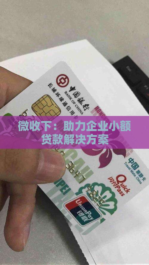微收下：助力企业小额贷款解决方案