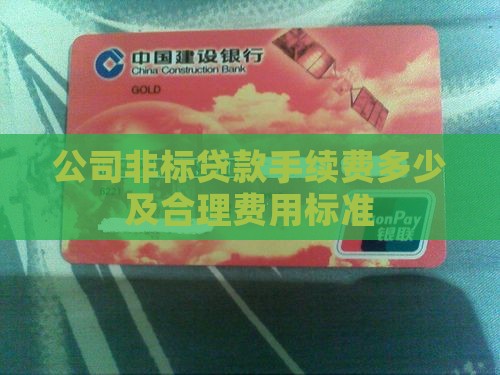 公司非标贷款手续费多少及合理费用标准