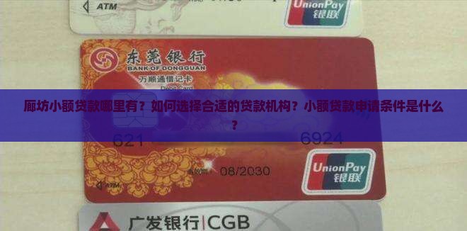 廊坊小额贷款哪里有？如何选择合适的贷款机构？小额贷款申请条件是什么？