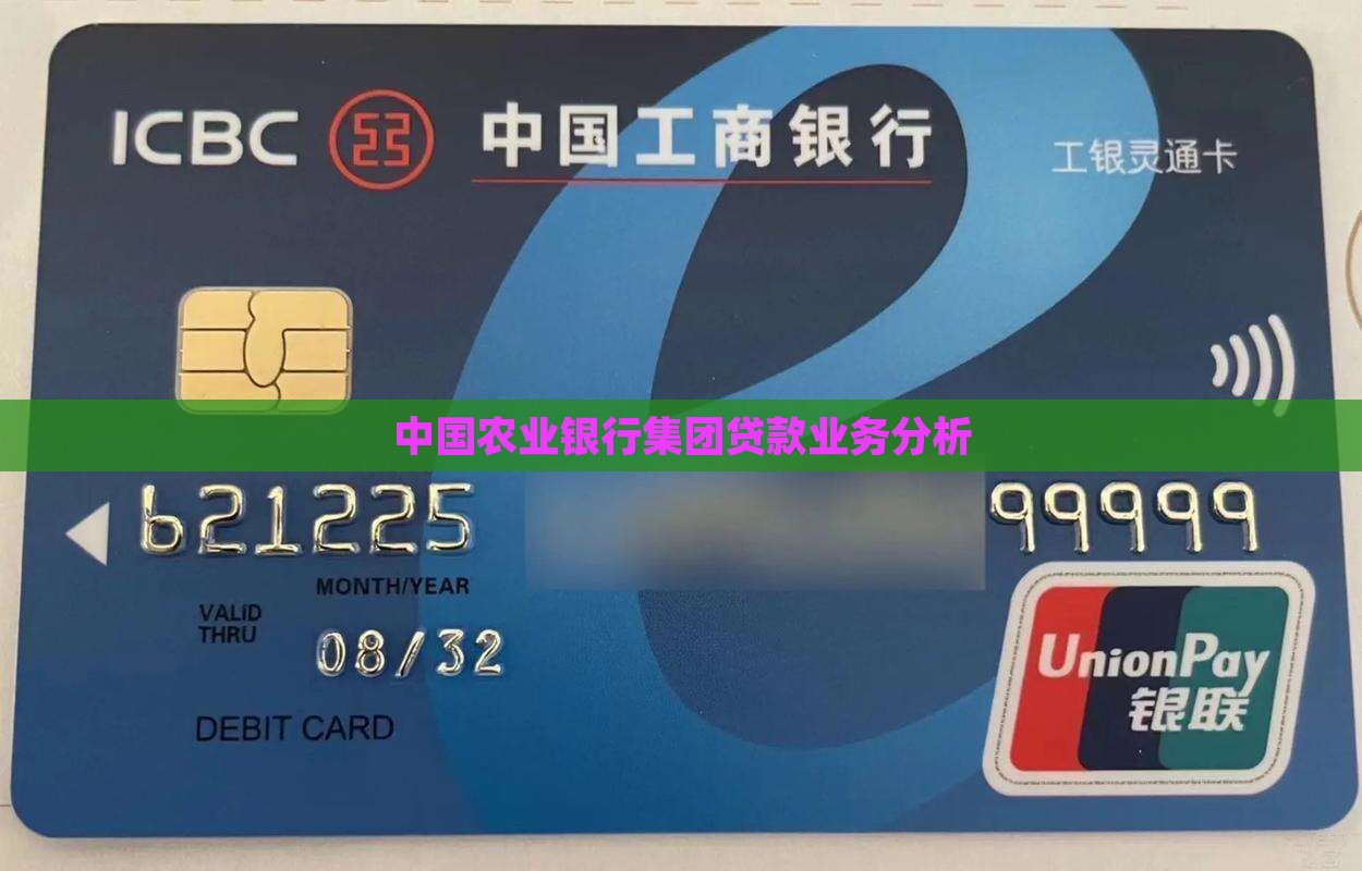 中国农业银行集团贷款业务分析