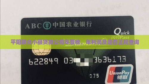 平阳联众小额贷款公司年营收、年利润及是否正规查询