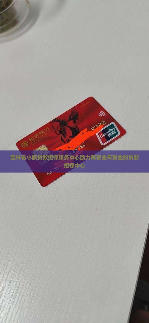 吉林省小额贷款担保服务中心助力再就业与就业的贷款担保中心