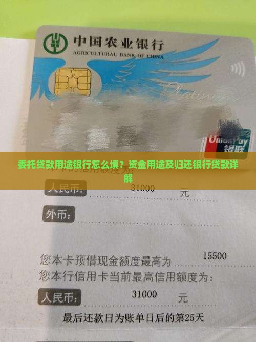 委托贷款用途银行怎么填？资金用途及归还银行贷款详解