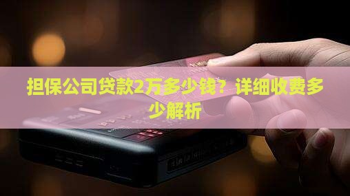 担保公司贷款2万多少钱？详细收费多少解析