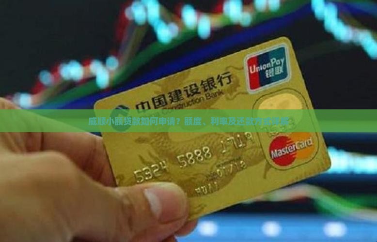 威顺小额贷款如何申请？额度、利率及还款方式详解