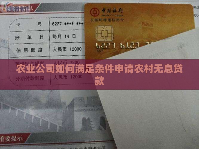 农业公司如何满足条件申请农村无息贷款