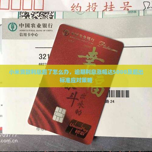 小米贷款利息超了怎么办，逾期利息涨幅达5000及超出标准应对策略