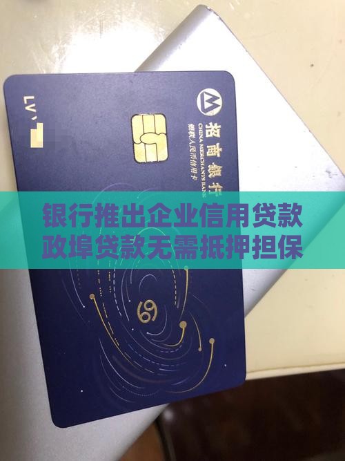 银行推出企业信用贷款政埠贷款无需抵押担保