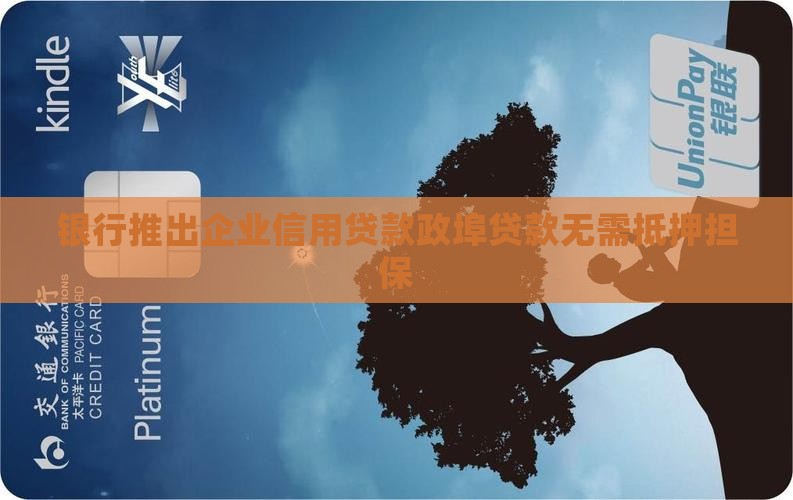 银行推出企业信用贷款政埠贷款无需抵押担保