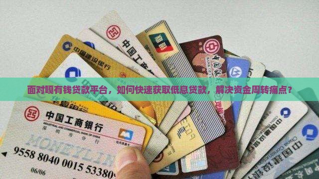 面对嘎有钱贷款平台，如何快速获取低息贷款，解决资金周转痛点？