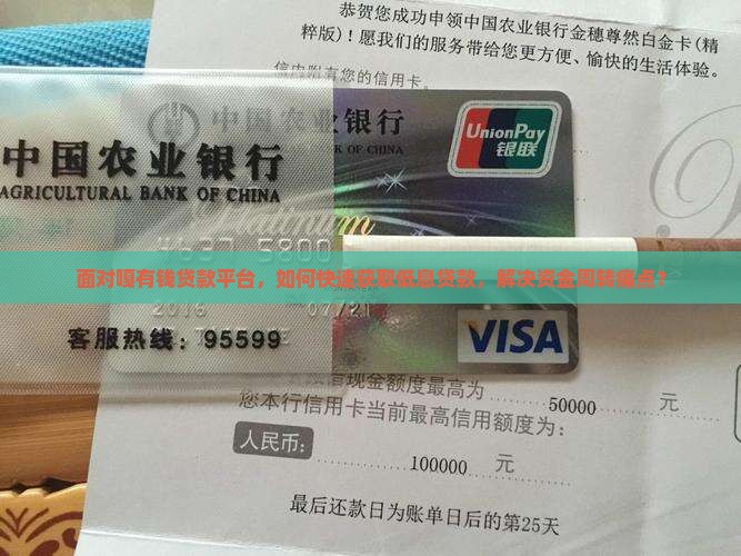 面对嘎有钱贷款平台，如何快速获取低息贷款，解决资金周转痛点？