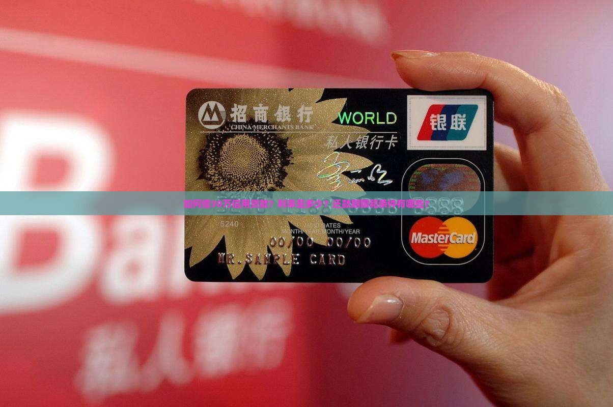 如何借30万信用贷款？利率是多少？还款期限和条件有哪些？