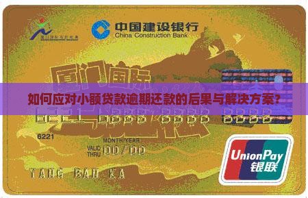 如何应对小额贷款逾期还款的后果与解决方案？