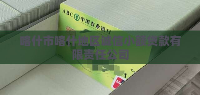 喀什市喀什地区诚信小额贷款有限责任公司