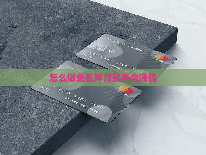 怎么做免抵押贷款平台赚钱