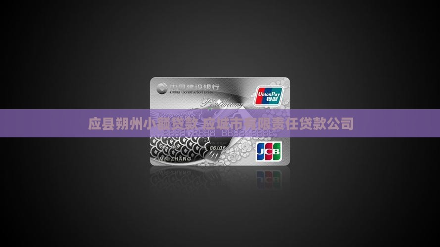 应县朔州小额贷款 应城市有限责任贷款公司