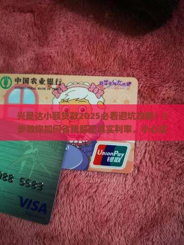 兴晟达小额贷款