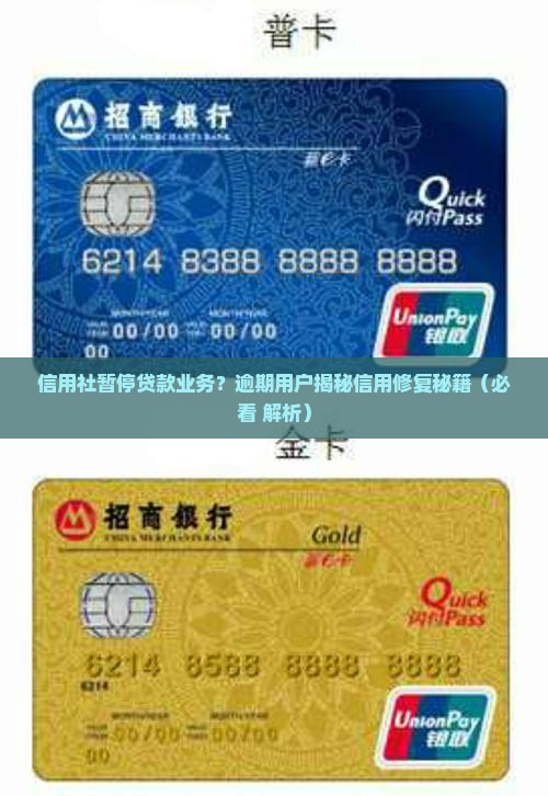 信用社信用贷款业务暂停