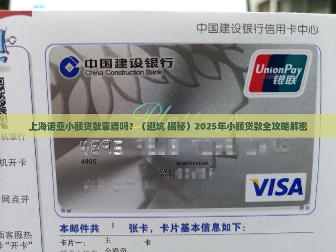 上海诺亚小额贷款