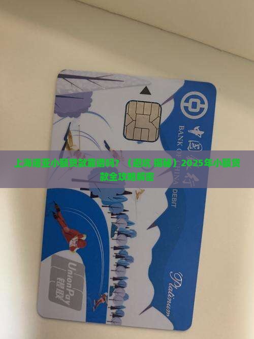 上海诺亚小额贷款