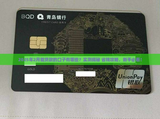 2月能贷款的口子