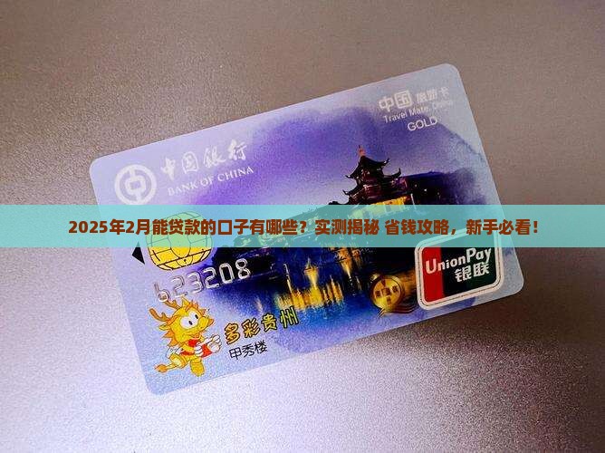 2月能贷款的口子