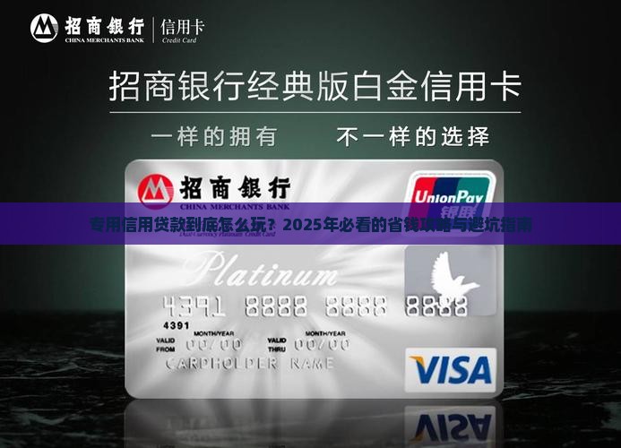 专用信用贷款