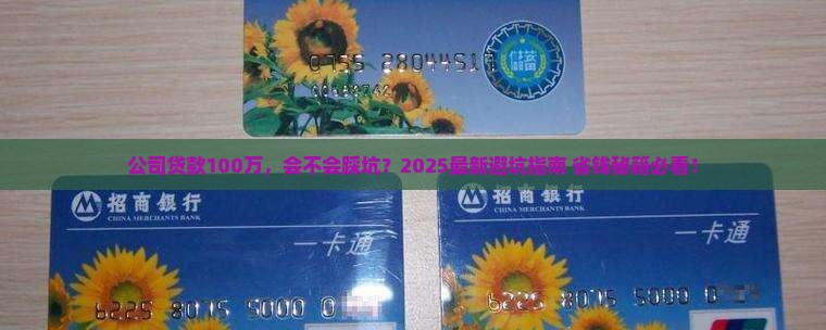公司贷款100万违法吗