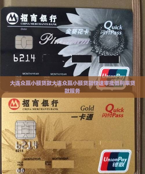 大连众赢小额贷款