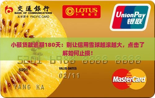 小额贷款逾期180天