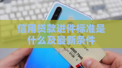 信用贷款进件标准