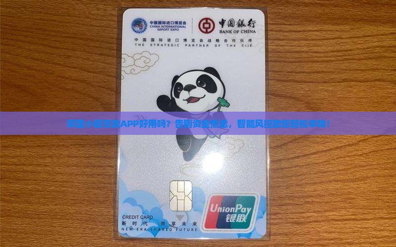 啊里小额贷款app