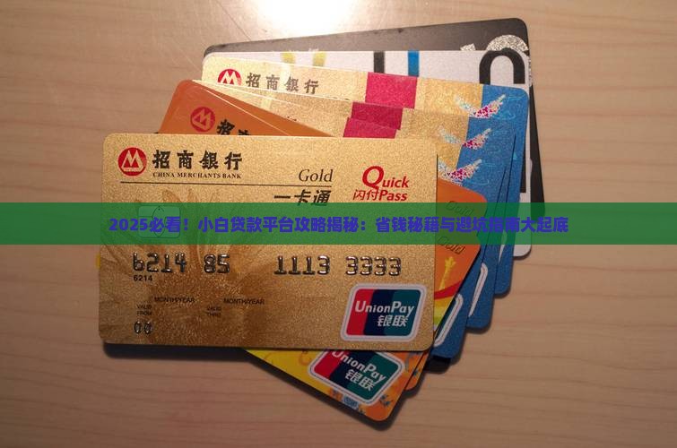 小白可以做什么贷款平台