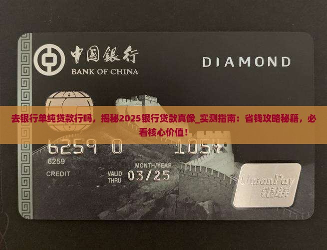 去银行单纯贷款行吗