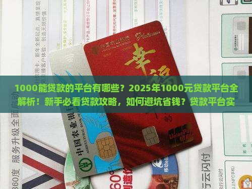 1000能贷款的平台