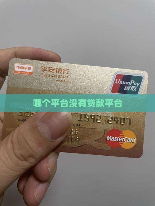 哪个平台没有贷款平台
