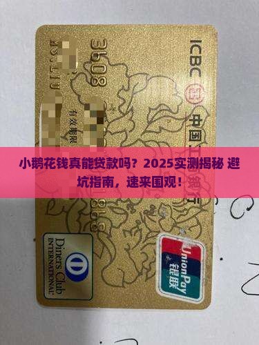 小鹅花钱能贷款吗