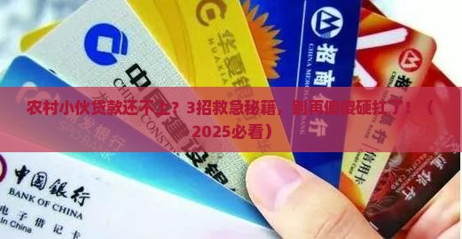 农村小额贷款还不上如何解决 农村小额贷款还不上如何解决
