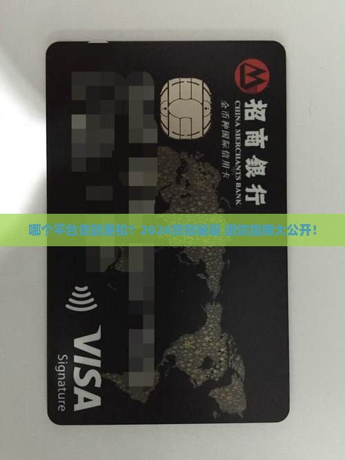 哪个平台贷款松一些2024
