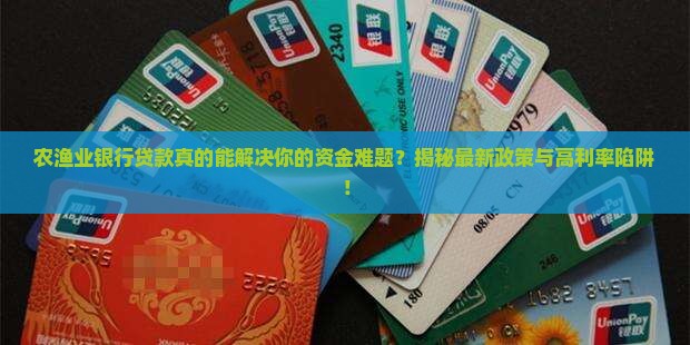 农渔业银行贷款