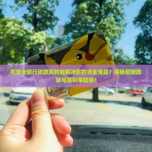 农渔业银行贷款