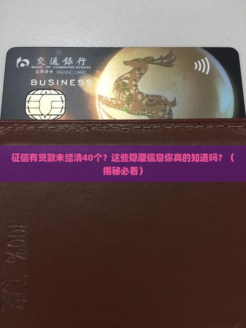征信有贷款未结清40个