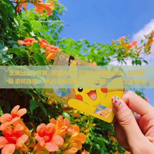 芝麻分530贷款