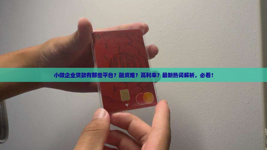 小微企业贷款有那些平台
